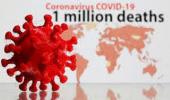 Covid-19 Increase in November/ Global Warning