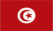 A Reflection on Tunisia Journals in ISC